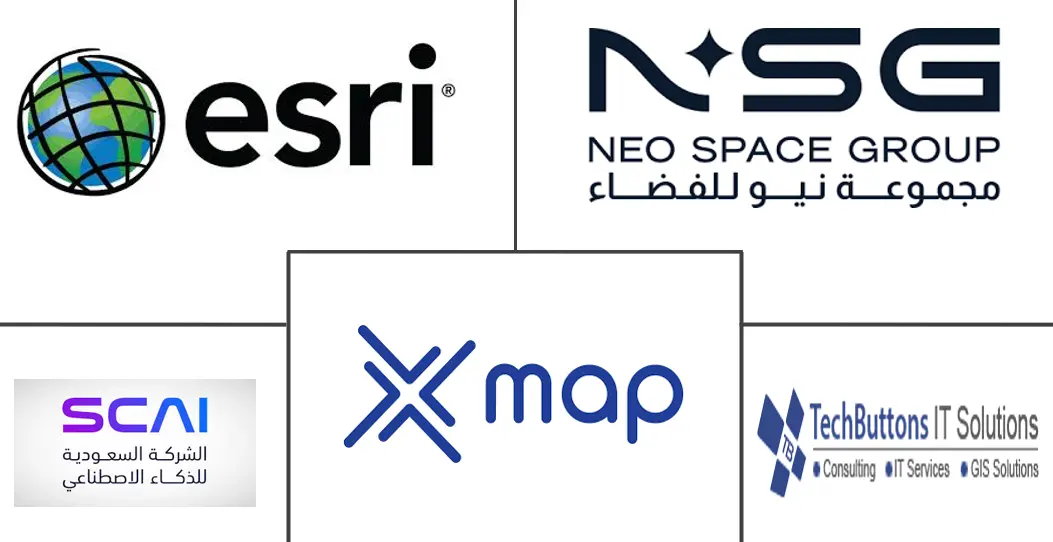 沙特阿拉伯地理空间分析市场规模和份额