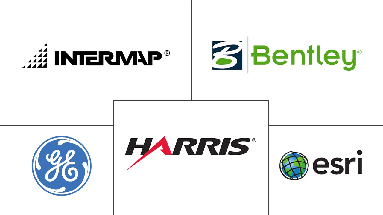 加拿大地理空间分析市场规模