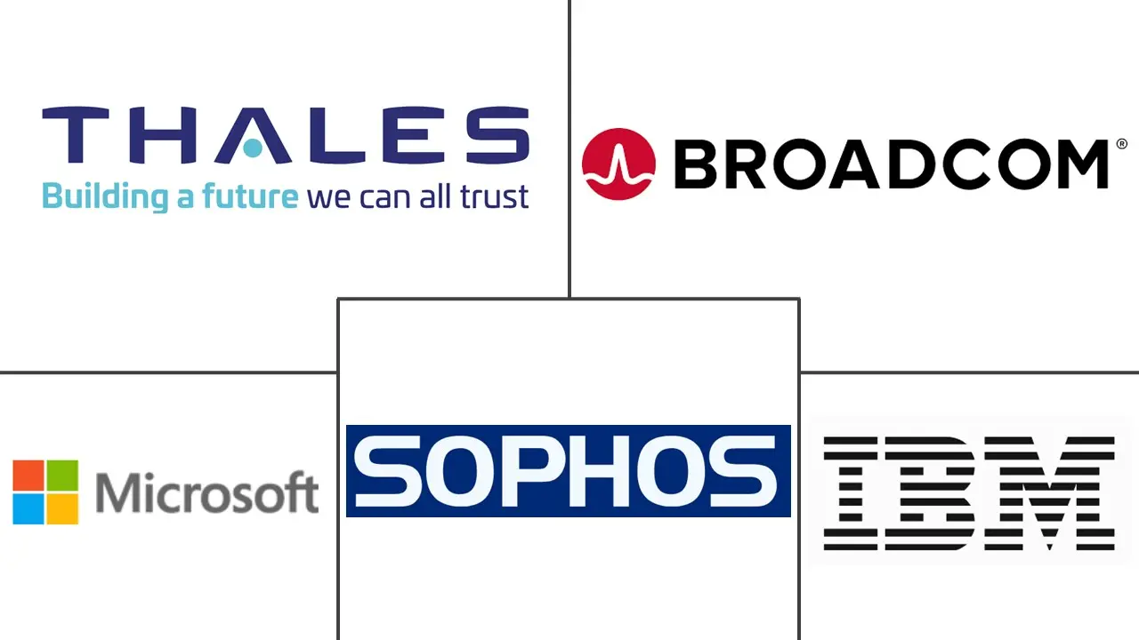 加密软件市场规模及份额