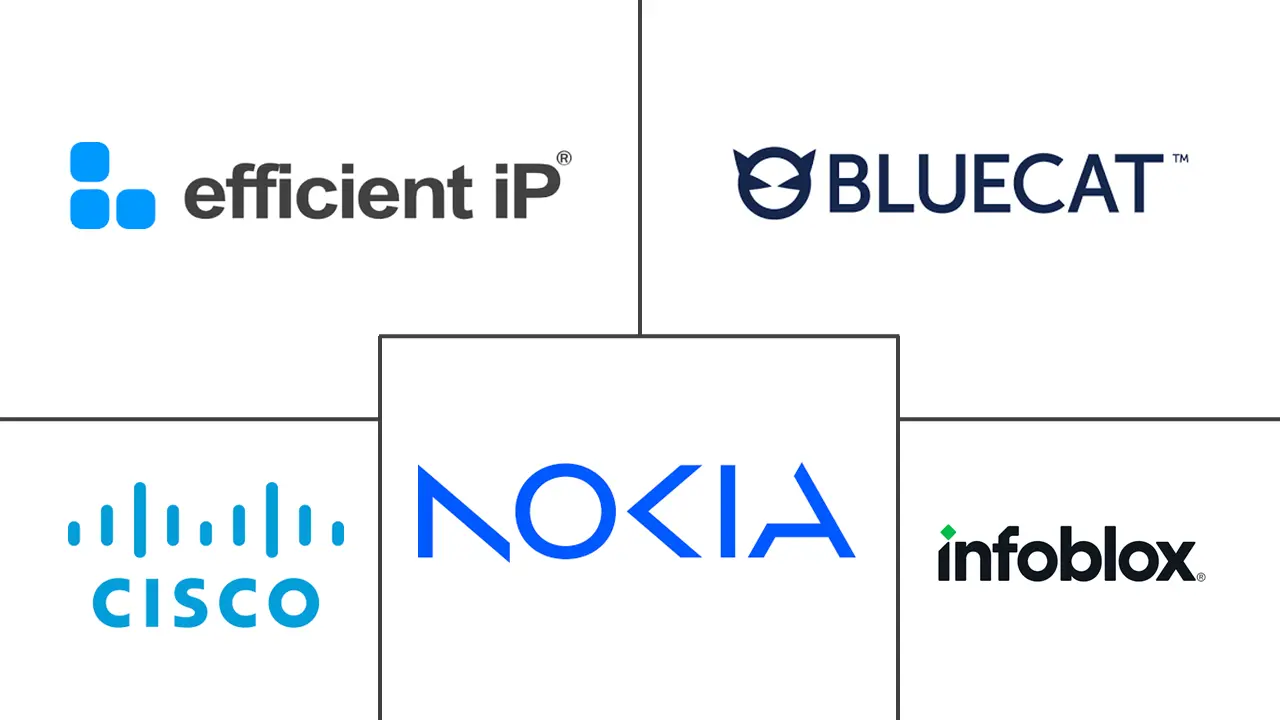 DDI 解决方案市场规模和份额