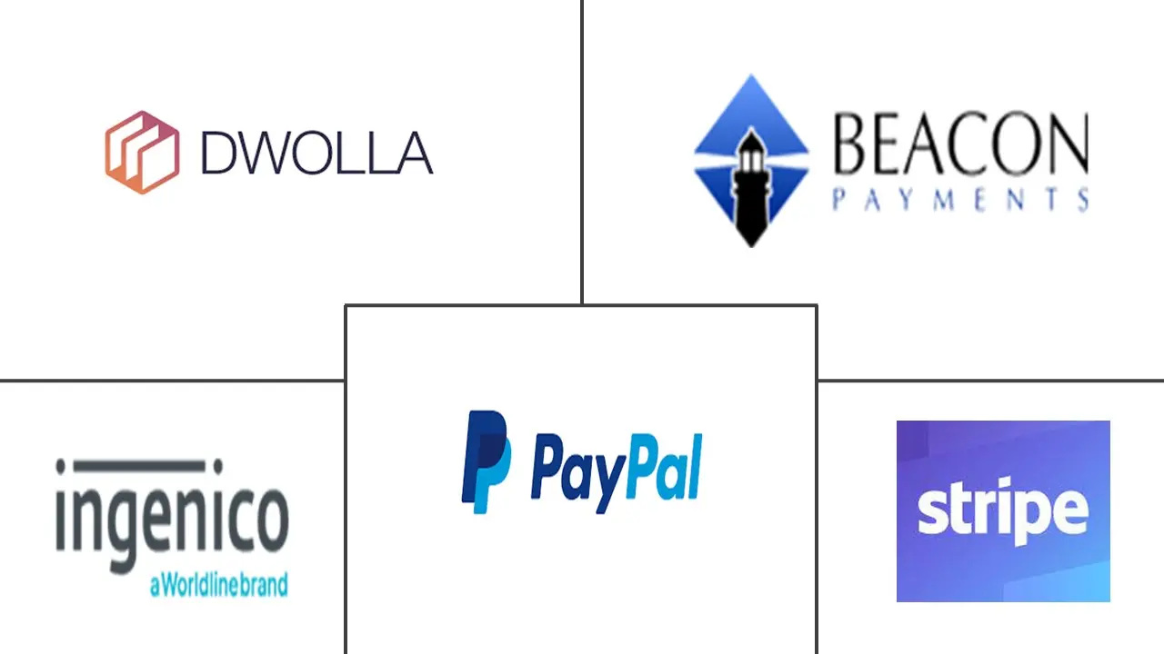 美国支付市场规模和份额