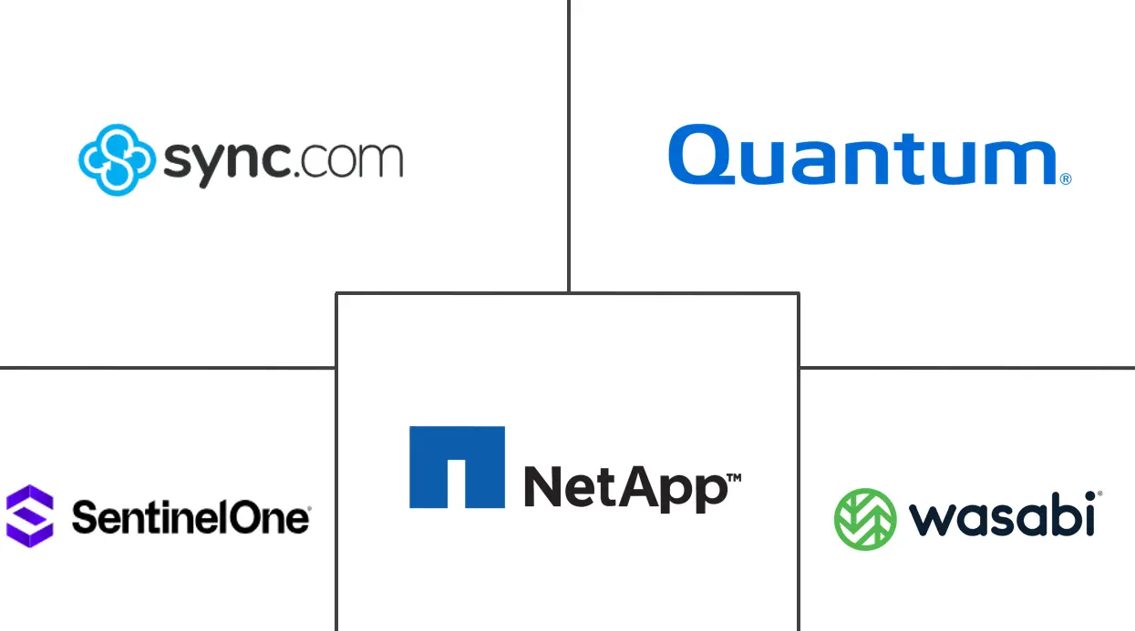 加拿大监控存储市场规模