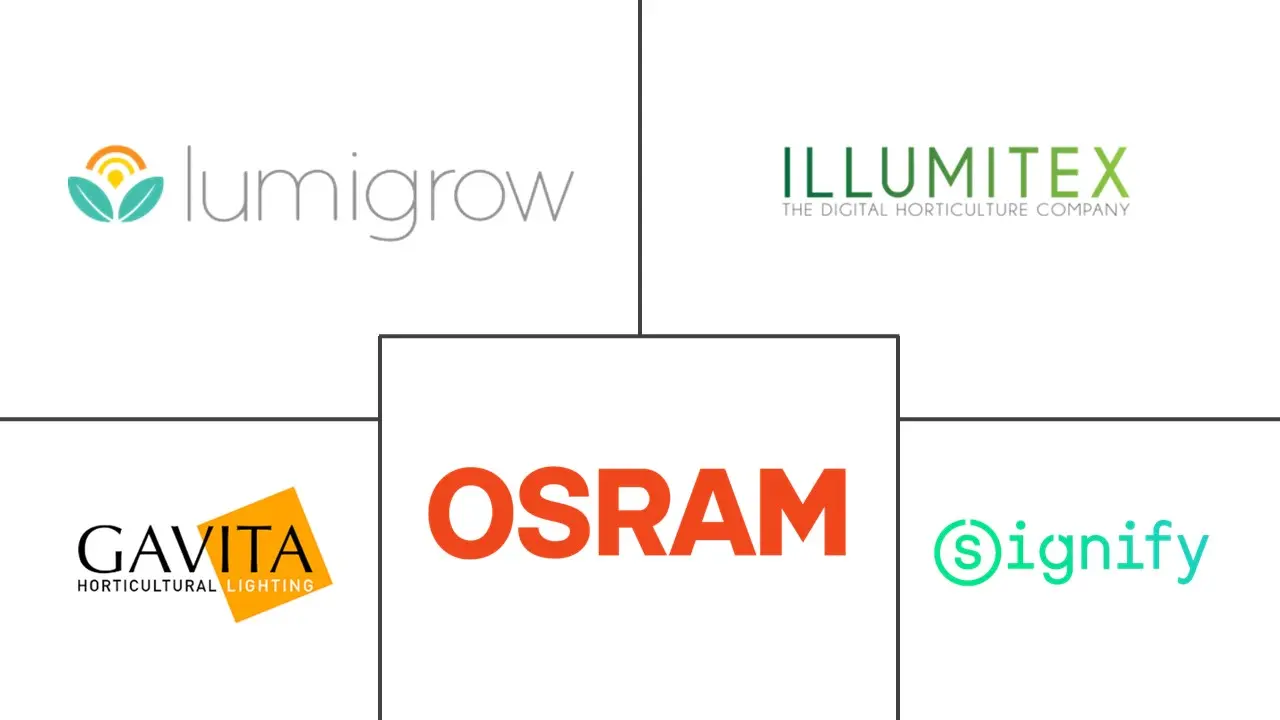 大麻照明市场规模和份额