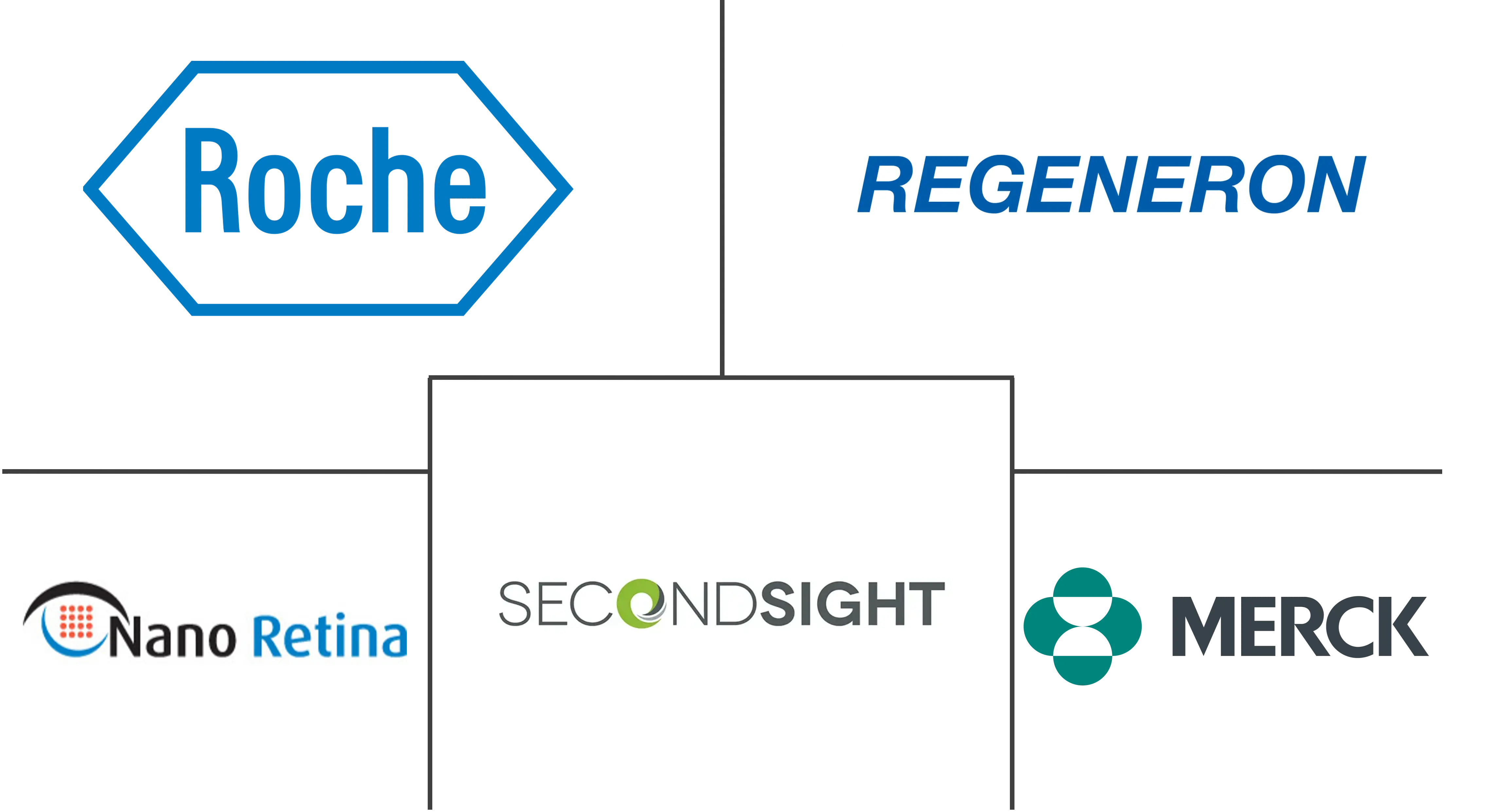 眼后段疾病市场规模