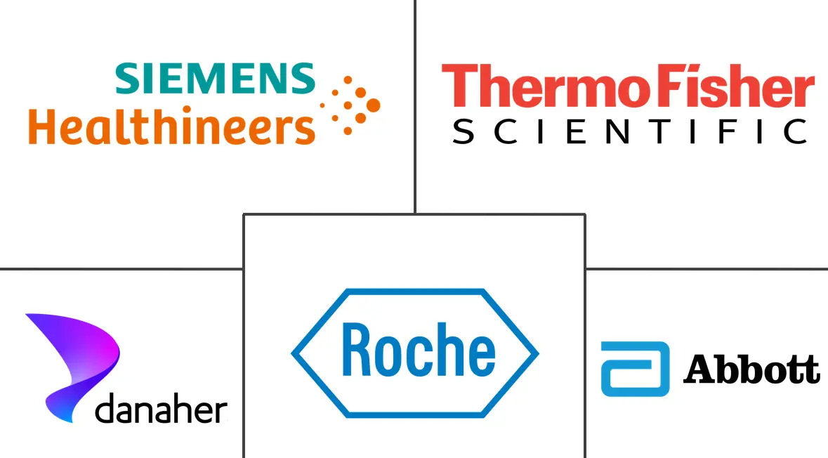 南非体外诊断市场规模和份额分析