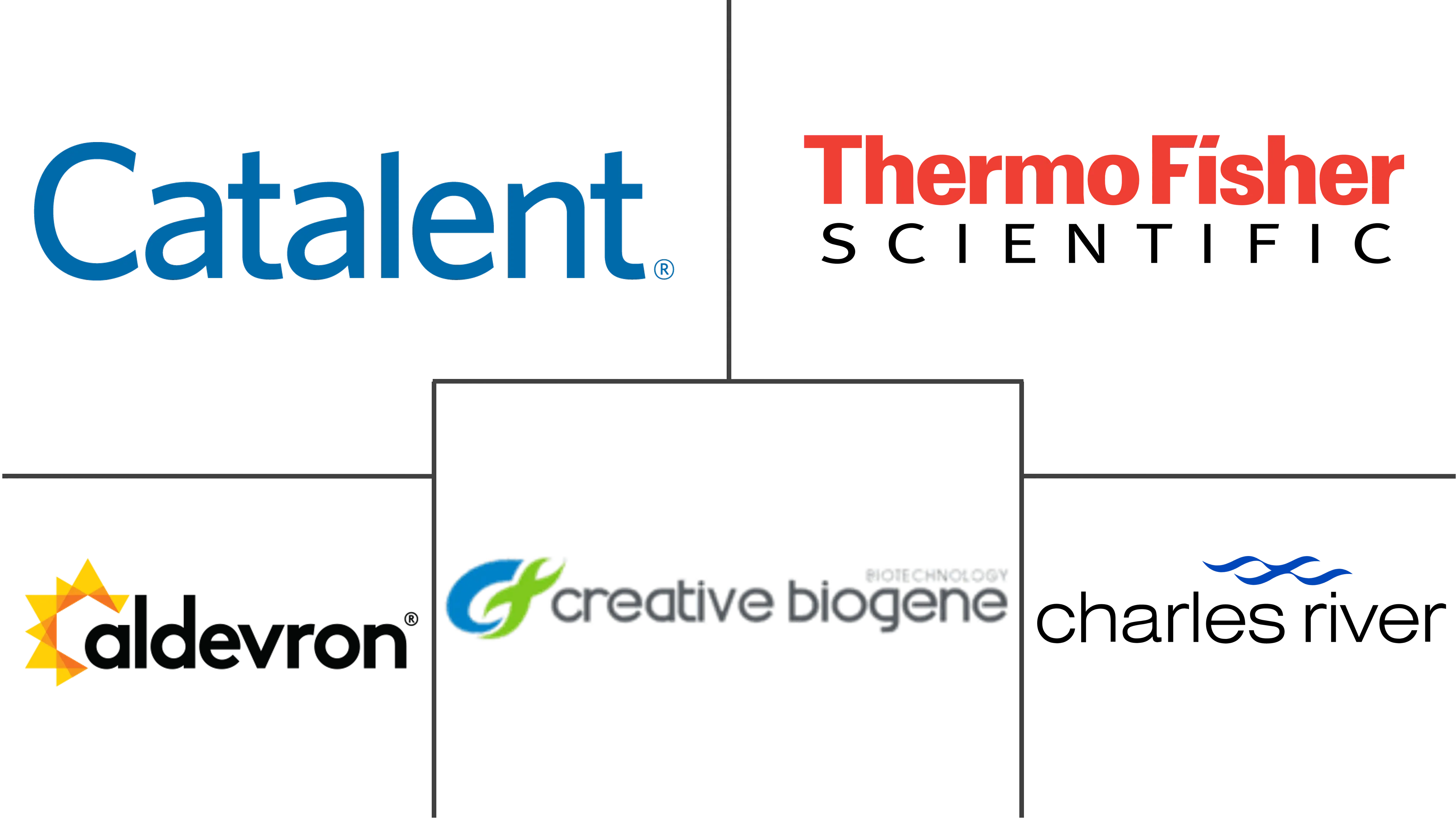 腺相关病毒（AAV）CDMO市场规模和份额