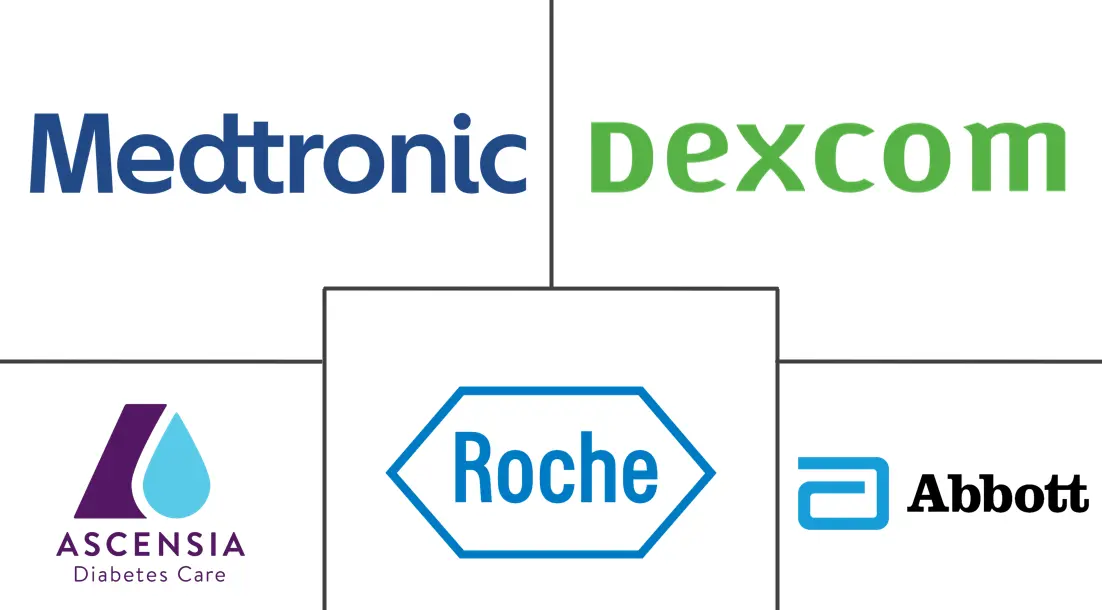 欧洲血糖监测市场规模和份额分析
