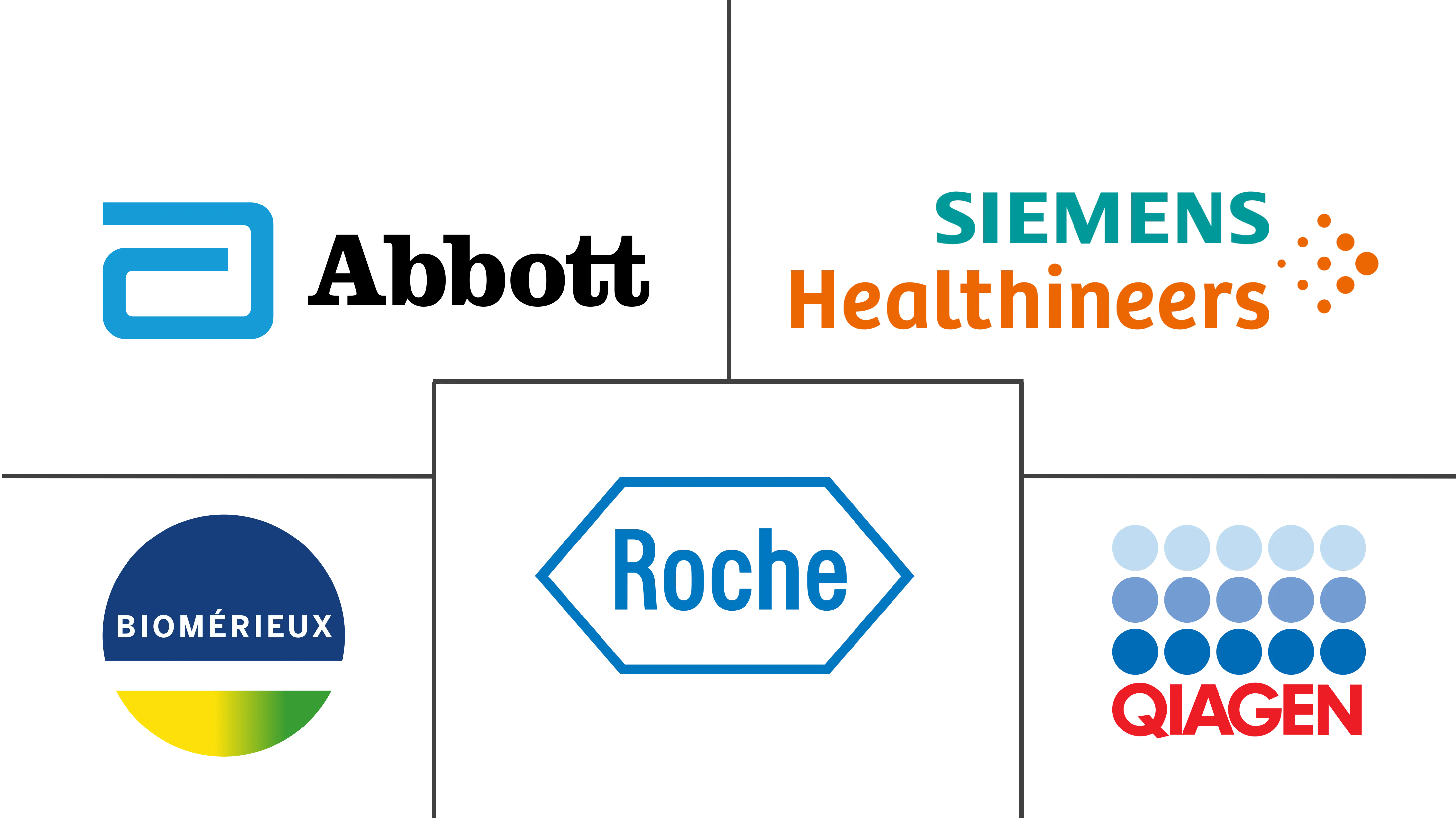 阿联酋体外诊断市场规模和份额