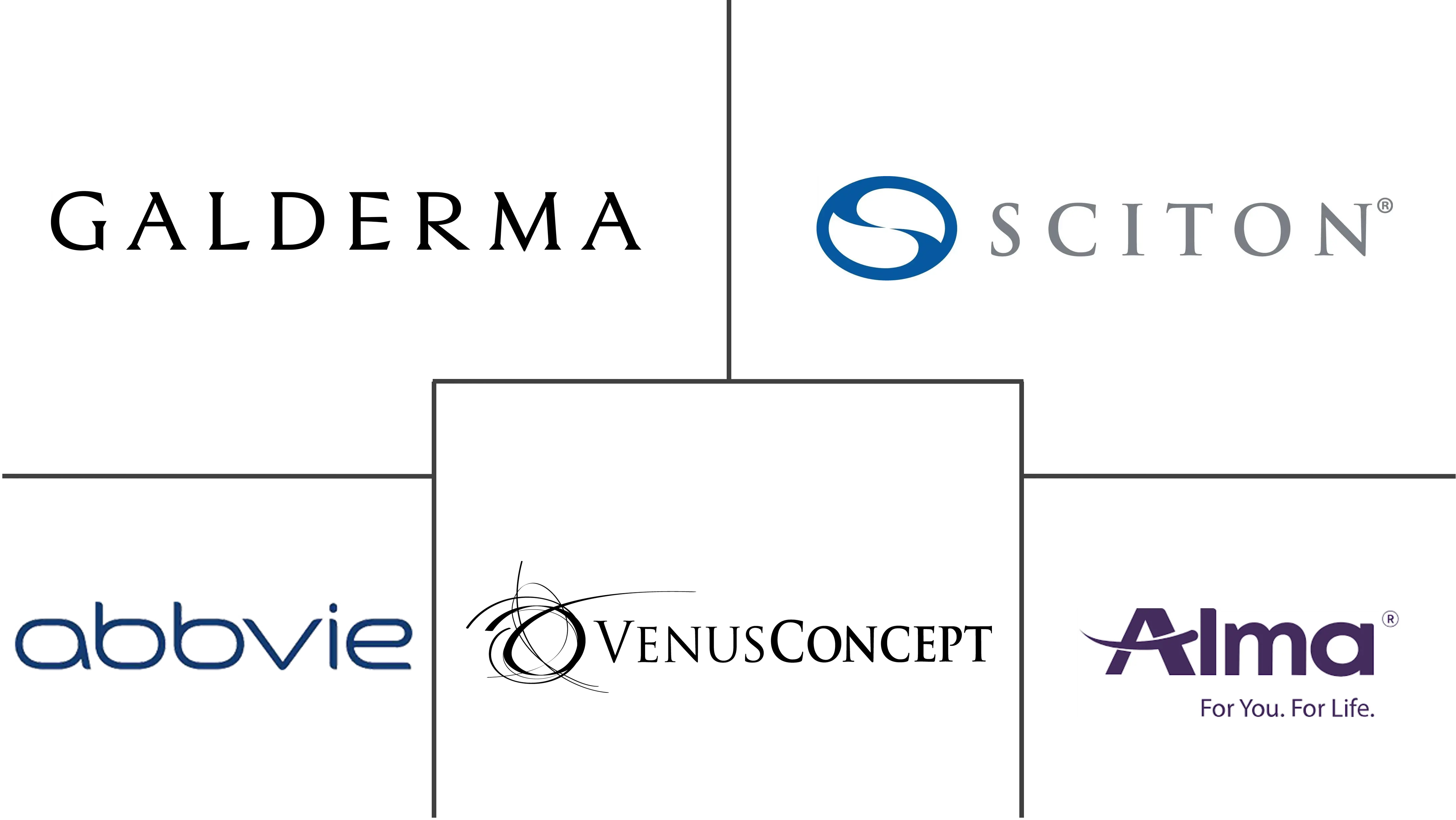 南非美容器械市场规模