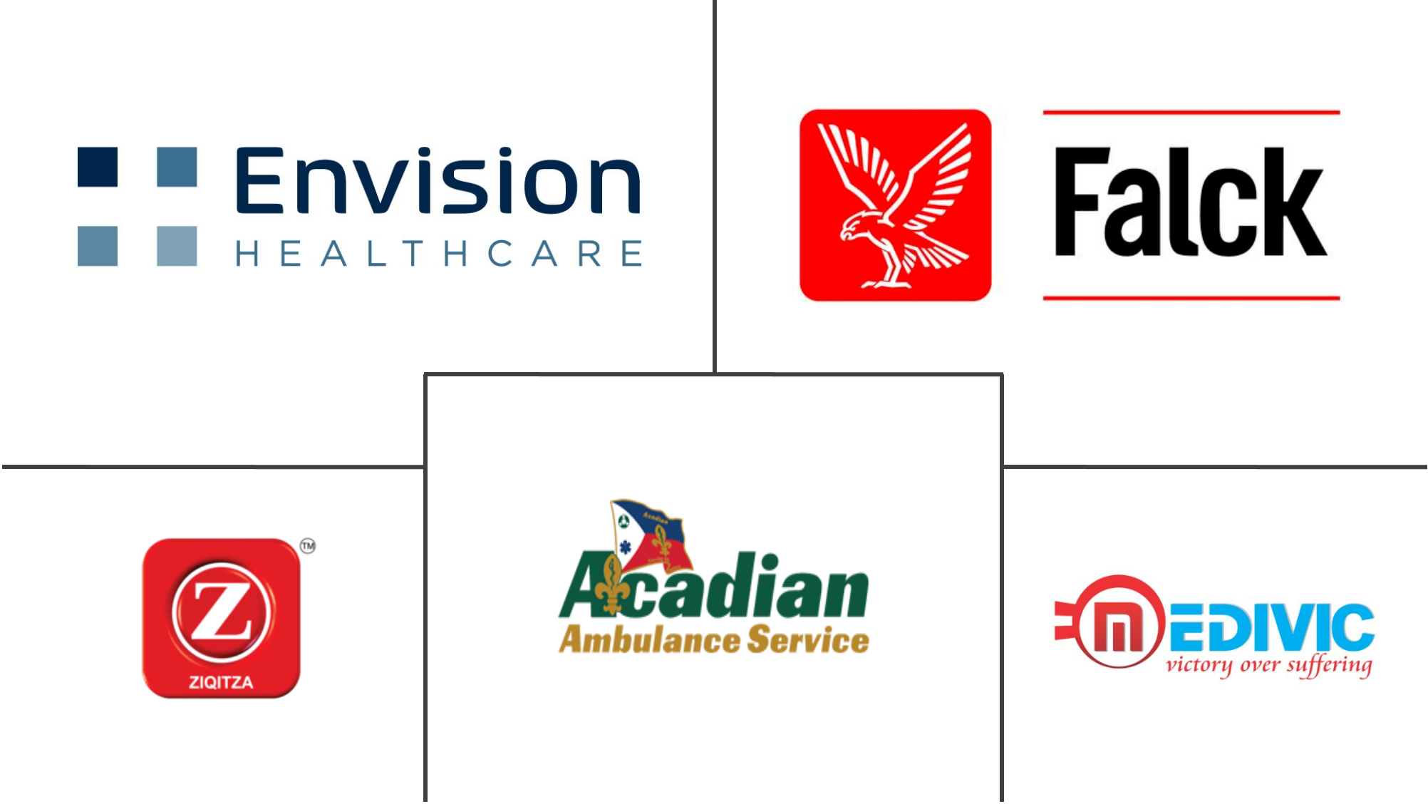 救护车服务市场规模和份额