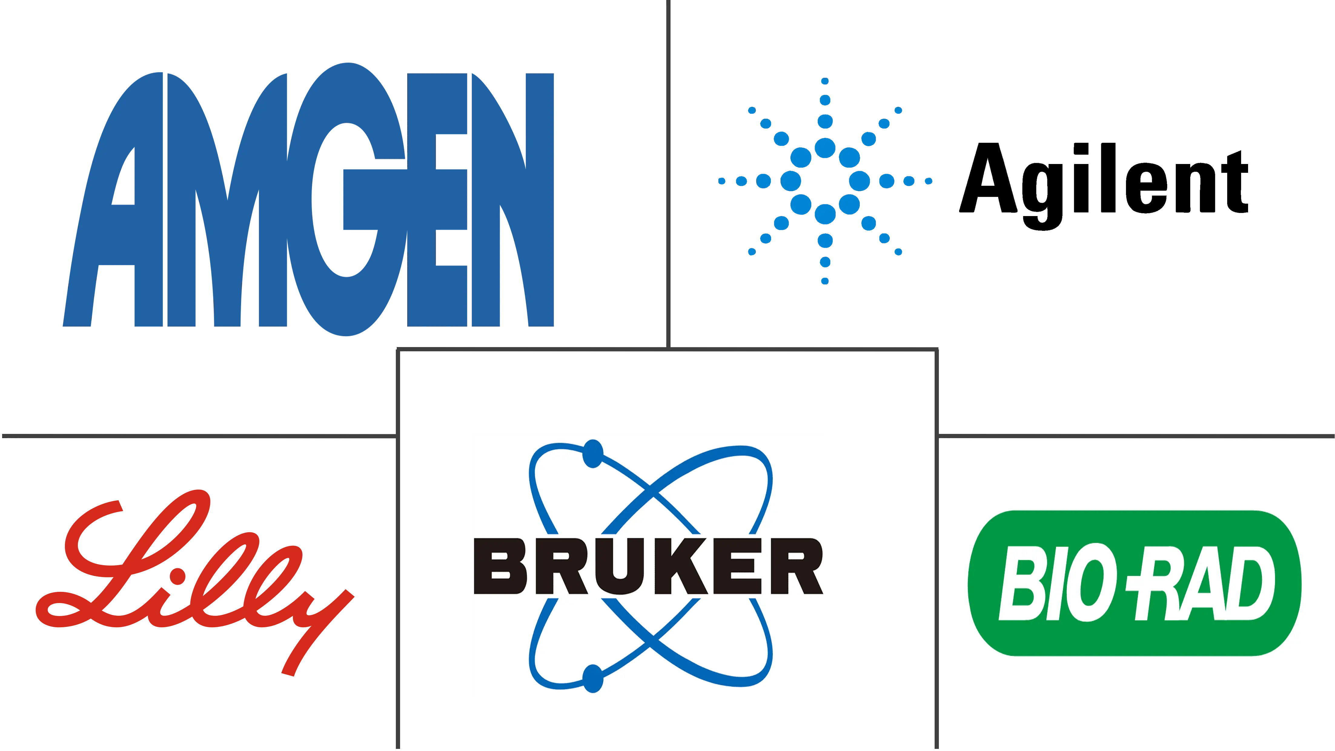 蛋白质工程市场规模和份额