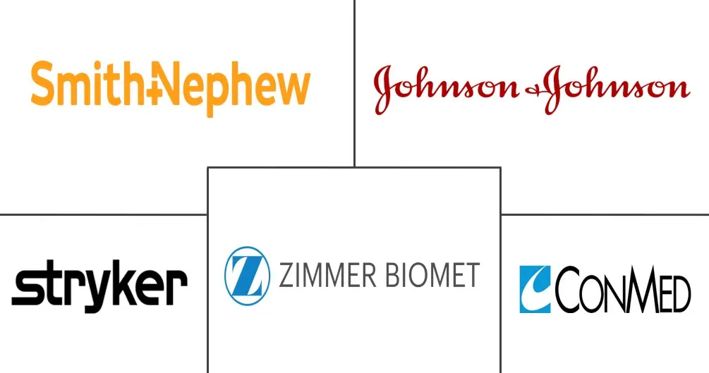十字韧带修复手术市场规模和份额