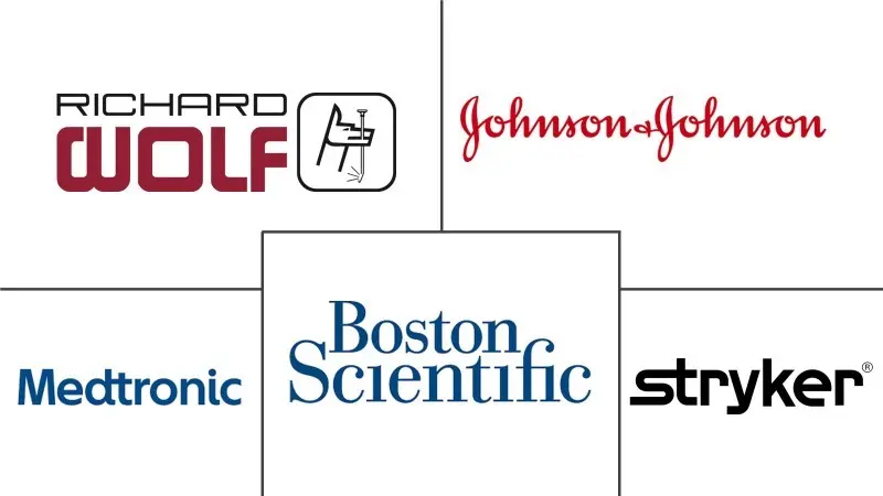 阿联酋内窥镜设备市场规模和份额