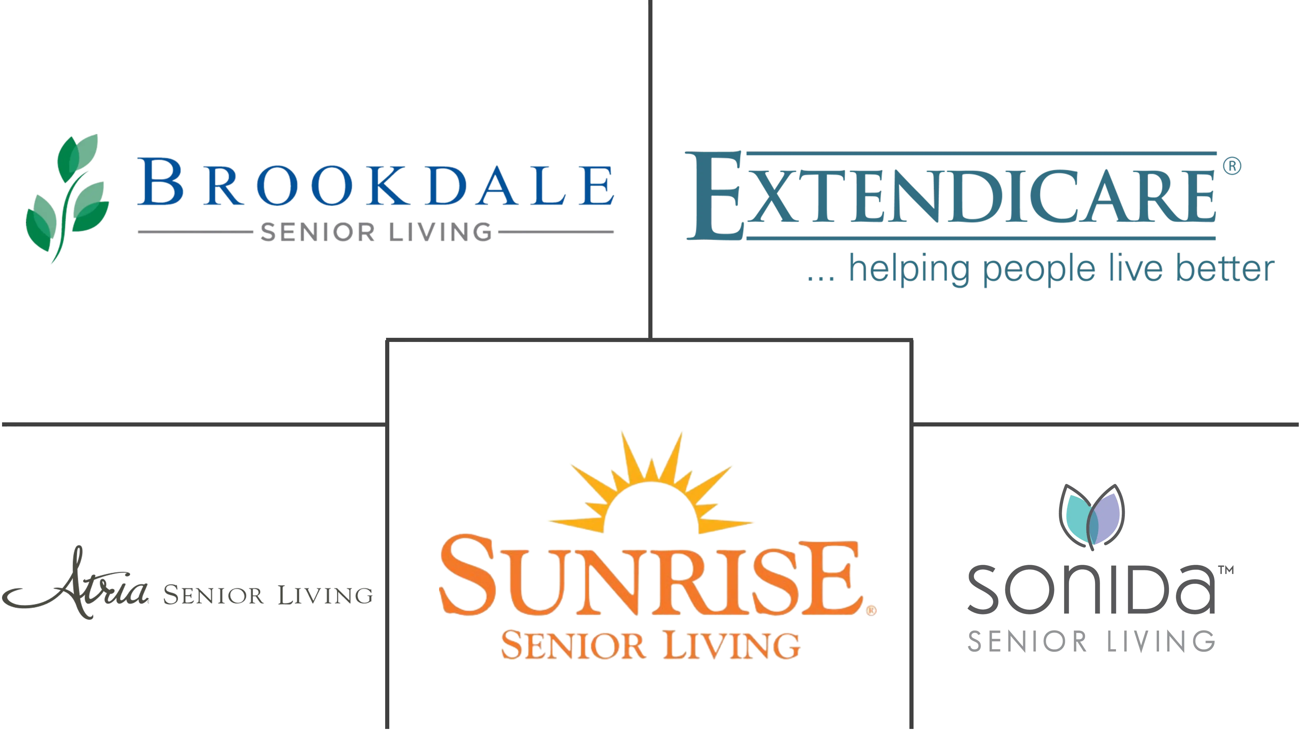 长期护理市场规模和份额