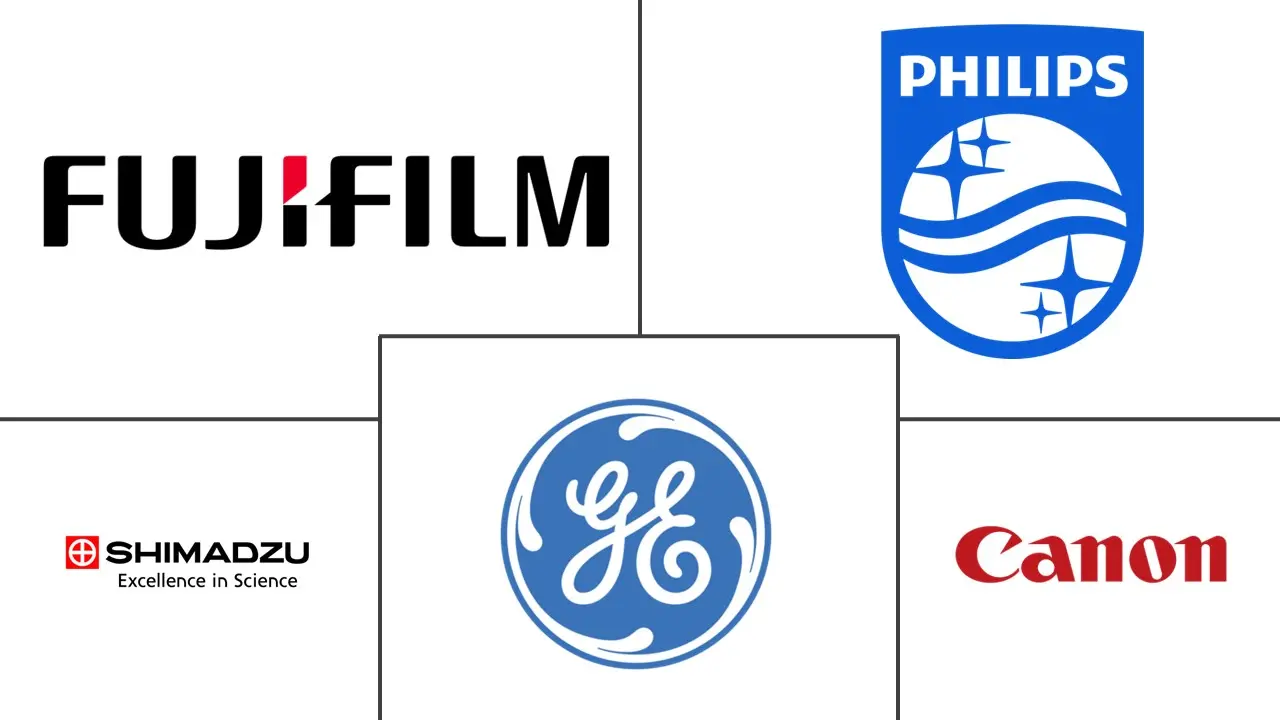 巴西数字 X 射线市场规模