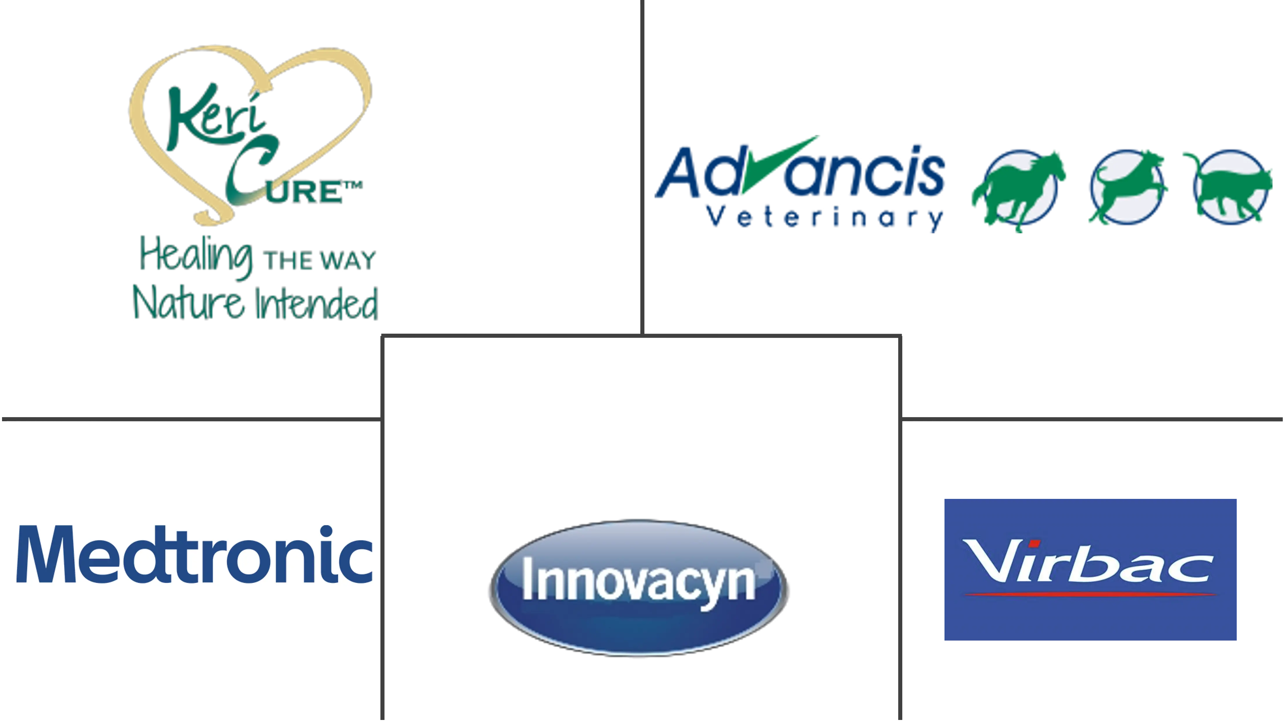 动物伤口护理市场规模