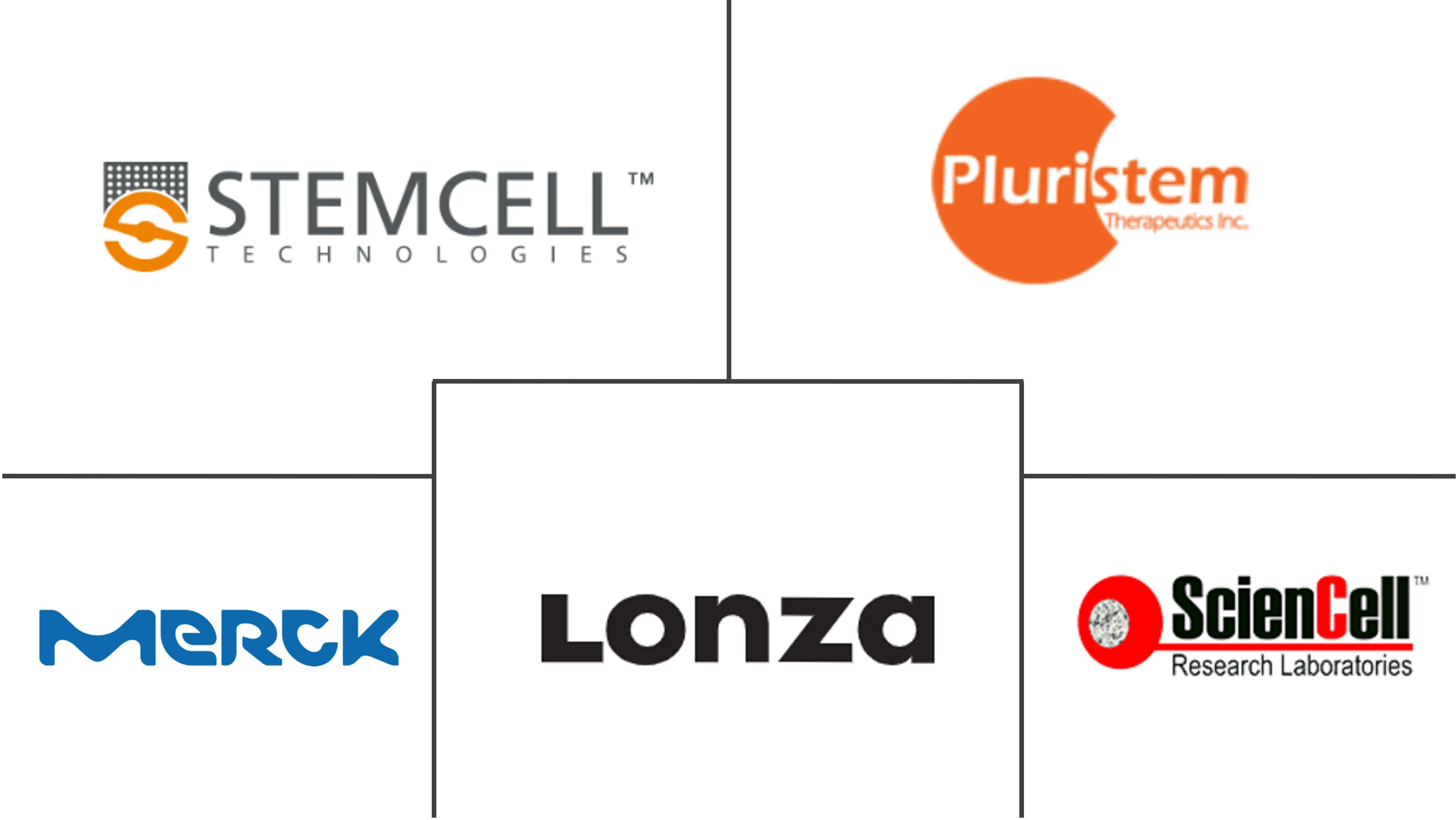 造血干细胞移植市场规模及份额