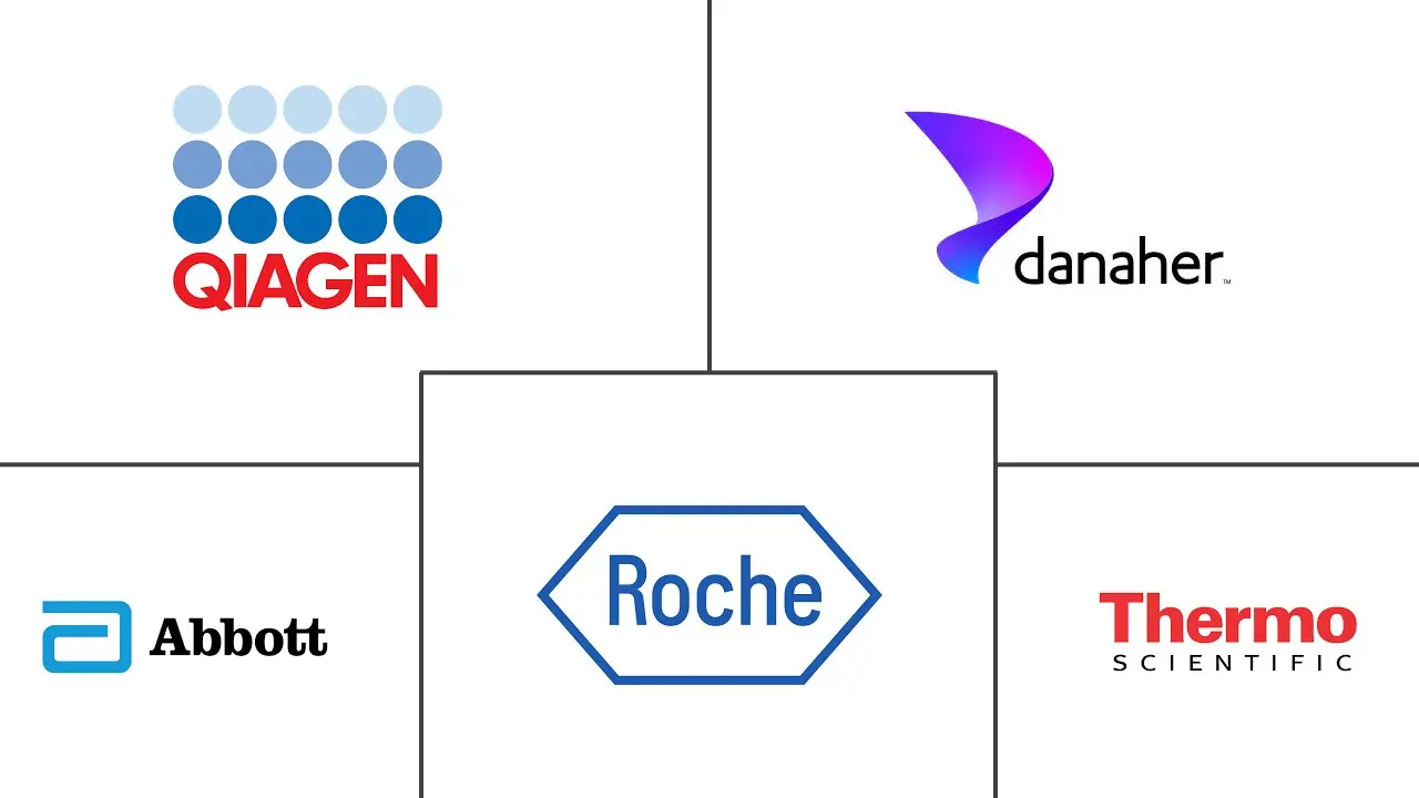 PCR 分子诊断市场规模和份额