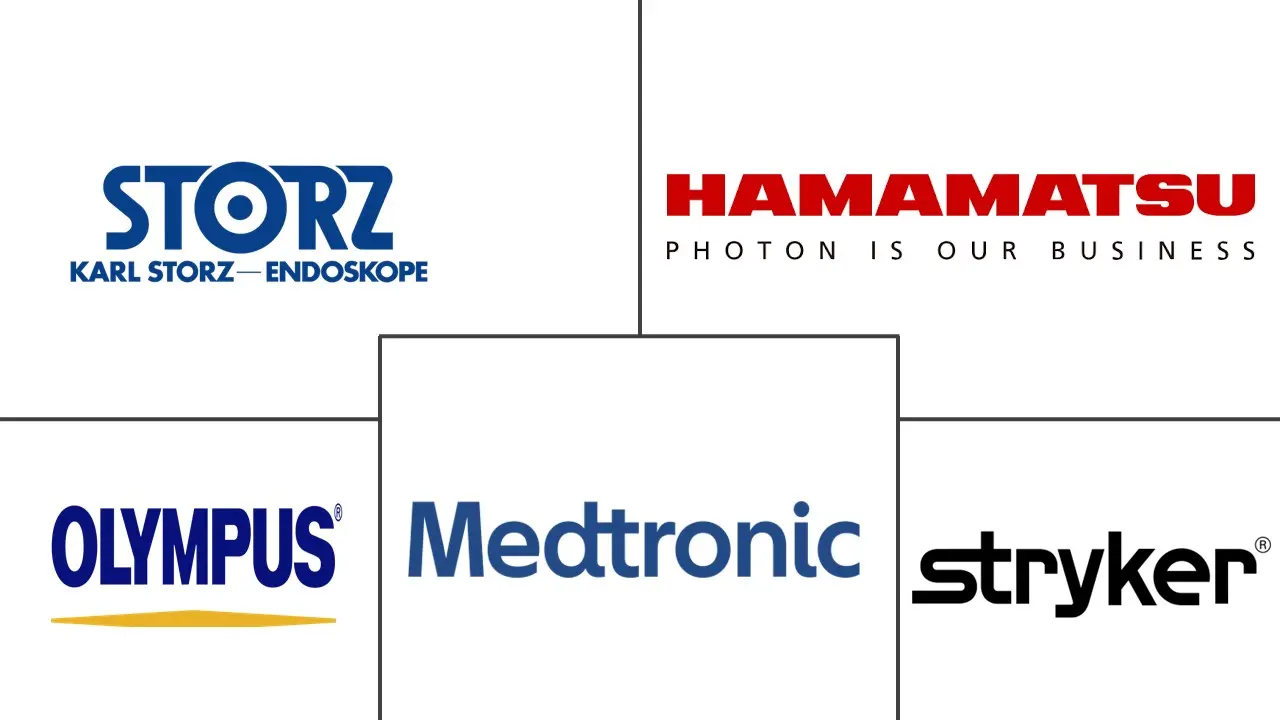 荧光引导手术系统市场规模和份额