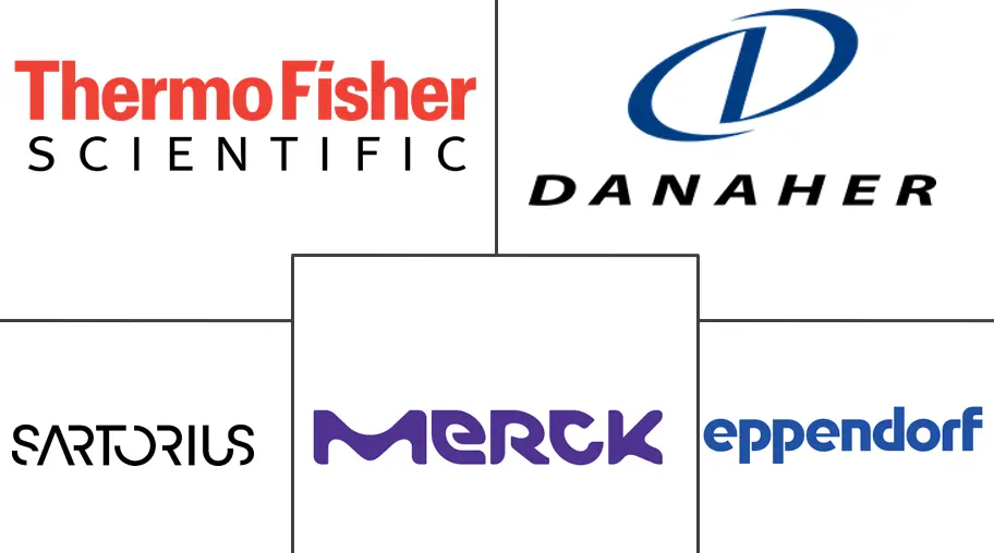 微载体市场规模和份额