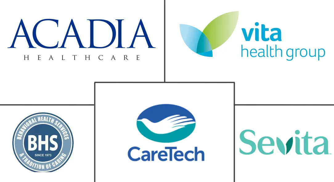 心理健康市场规模和份额