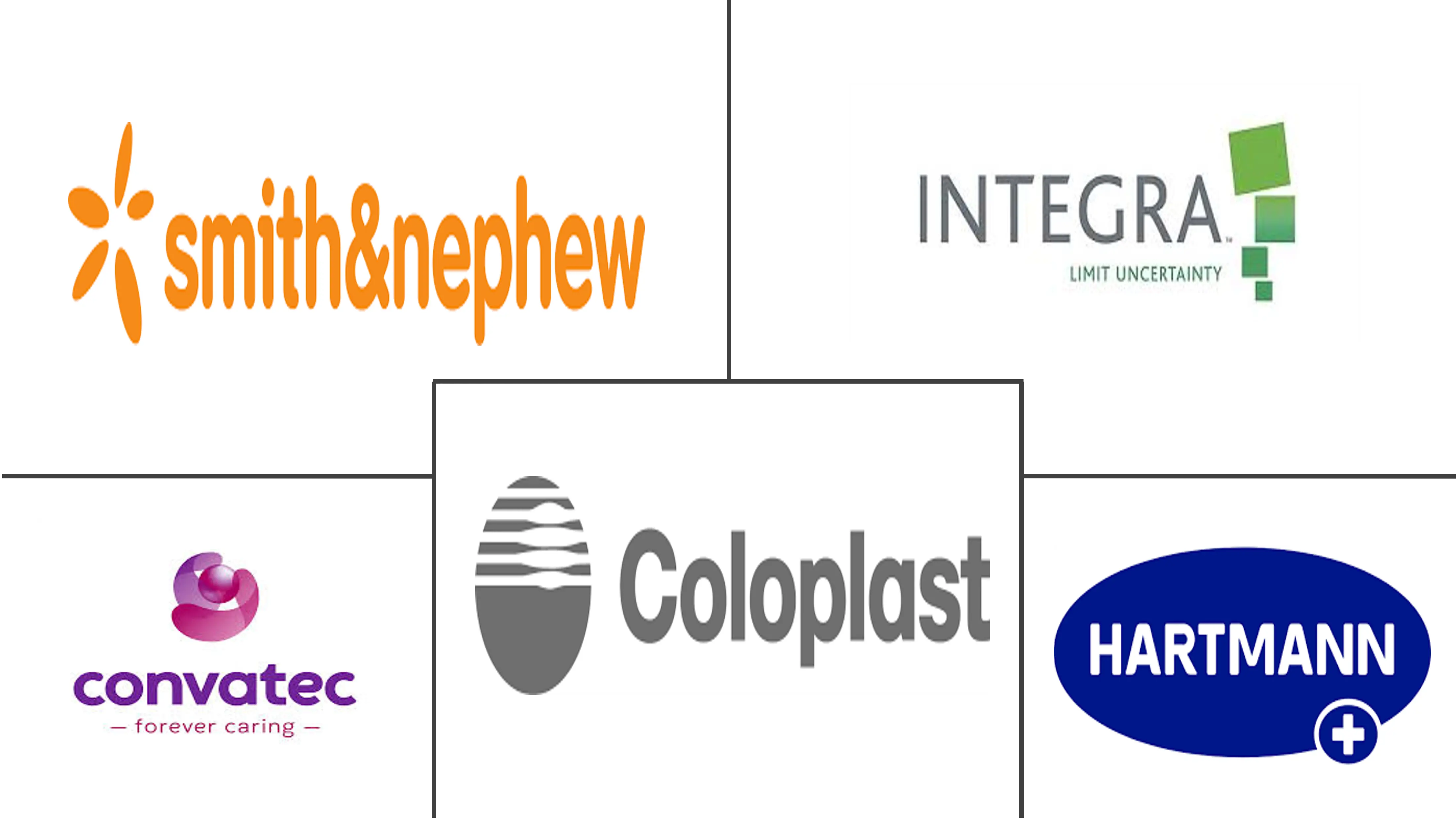 欧洲高级伤口护理市场规模和份额