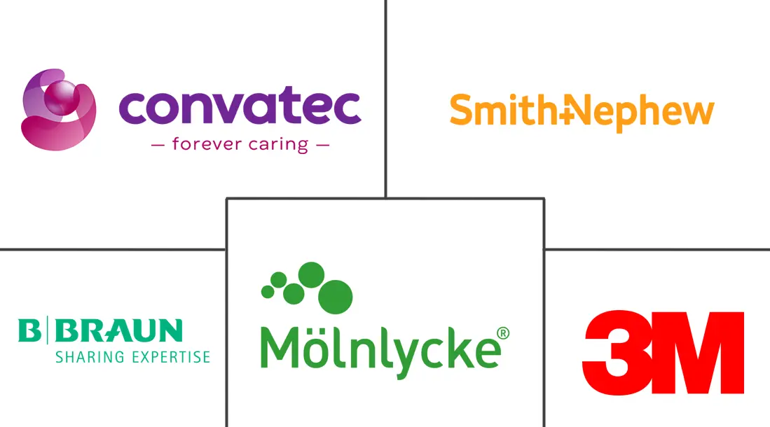 抗生物膜伤口敷料市场规模和份额
