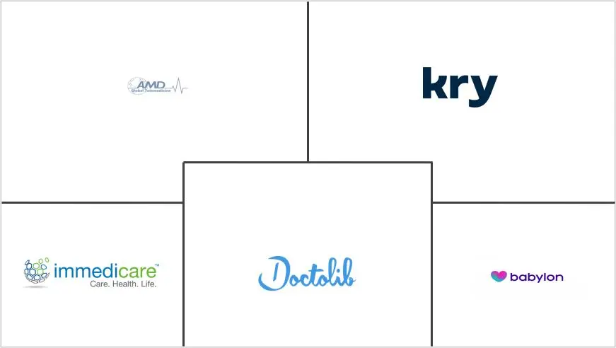 欧洲远程医疗服务市场规模