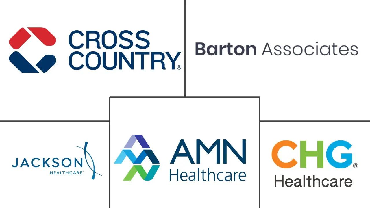 Locum Tenens 人员配备市场规模和份额