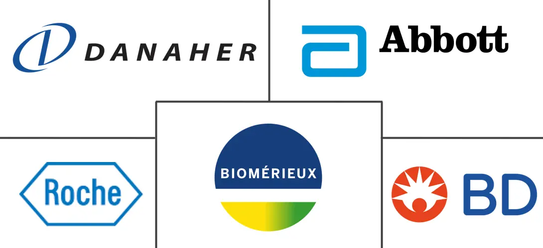 西班牙体外诊断市场规模及份额