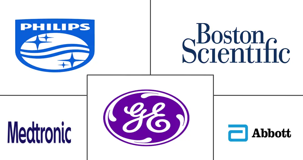 亚太地区电生理学市场规模
