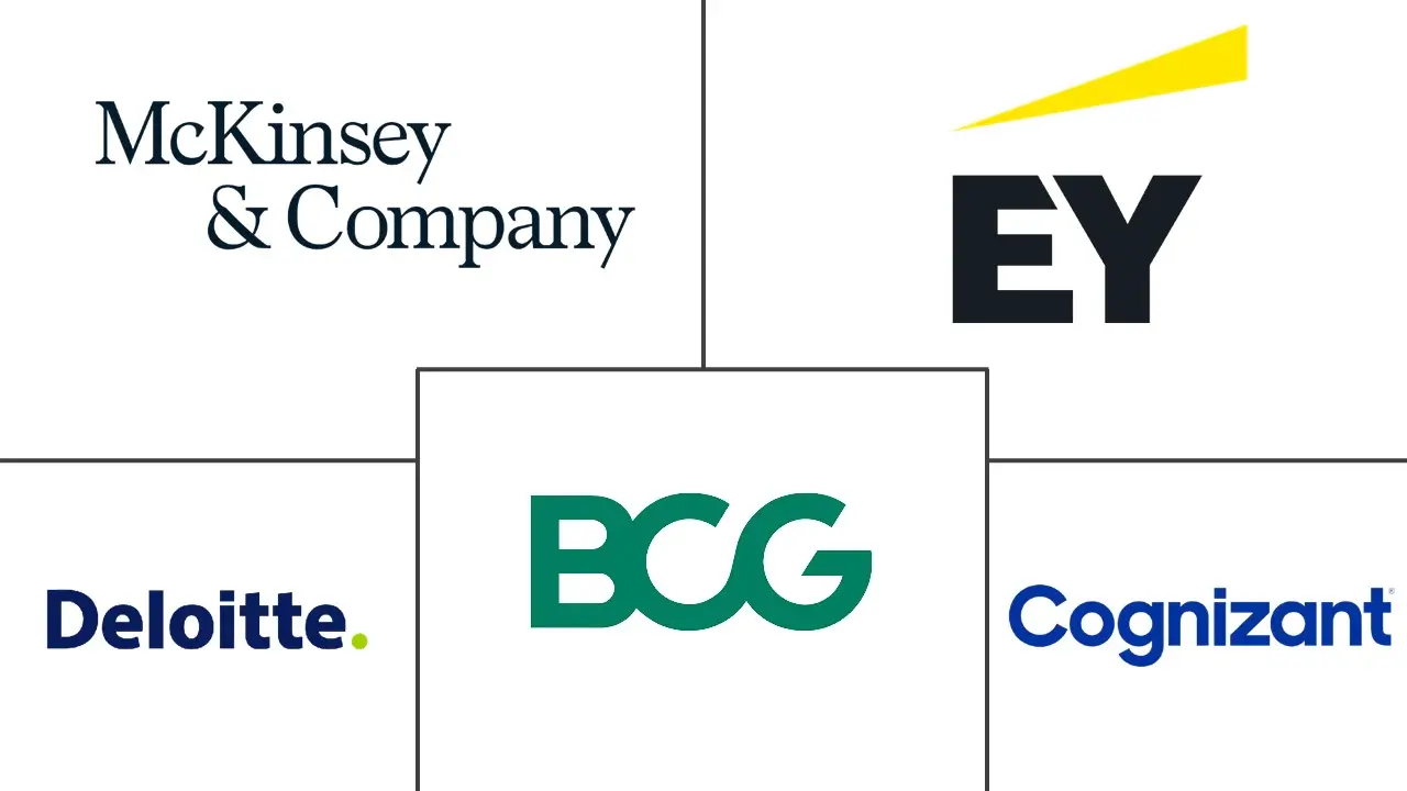 医疗保健咨询服务市场规模和份额