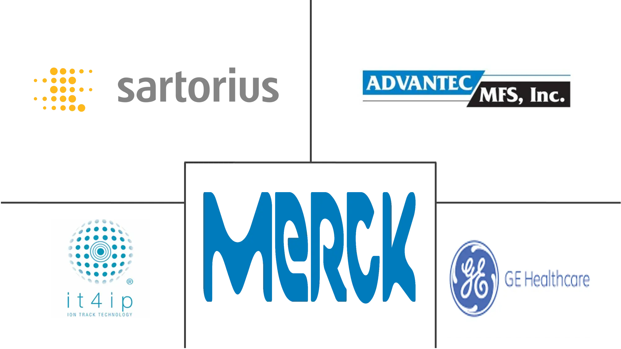 径迹蚀刻膜市场规模