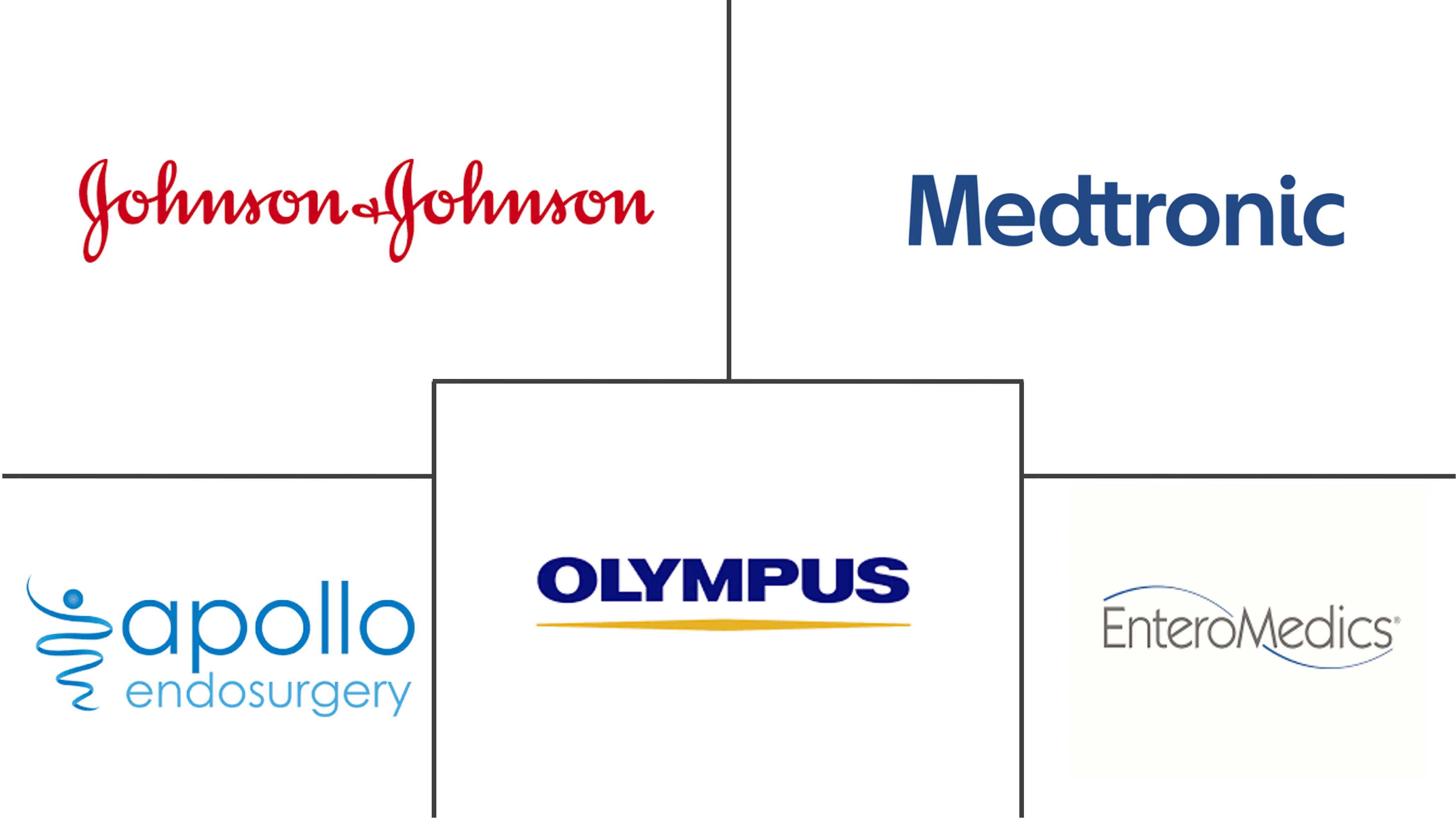 欧洲减肥手术市场规模