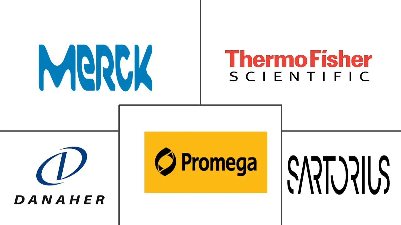 全球细胞系开发市场规模及份额