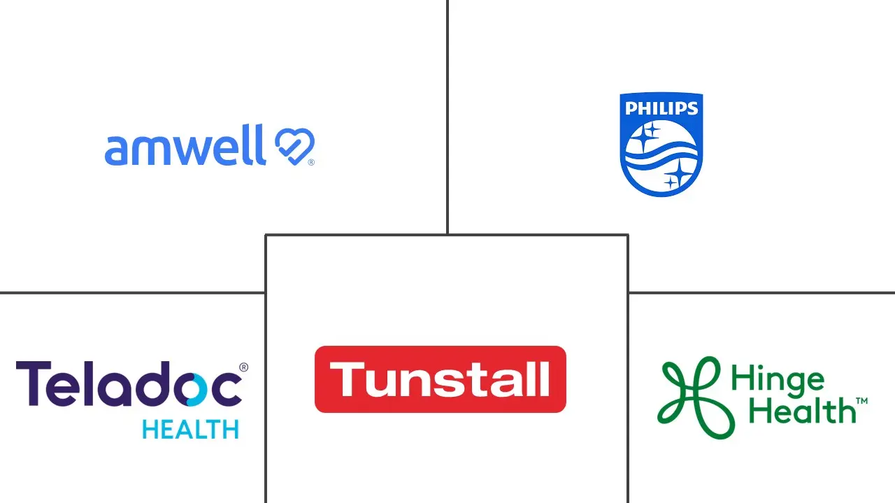 远程康复市场规模和份额