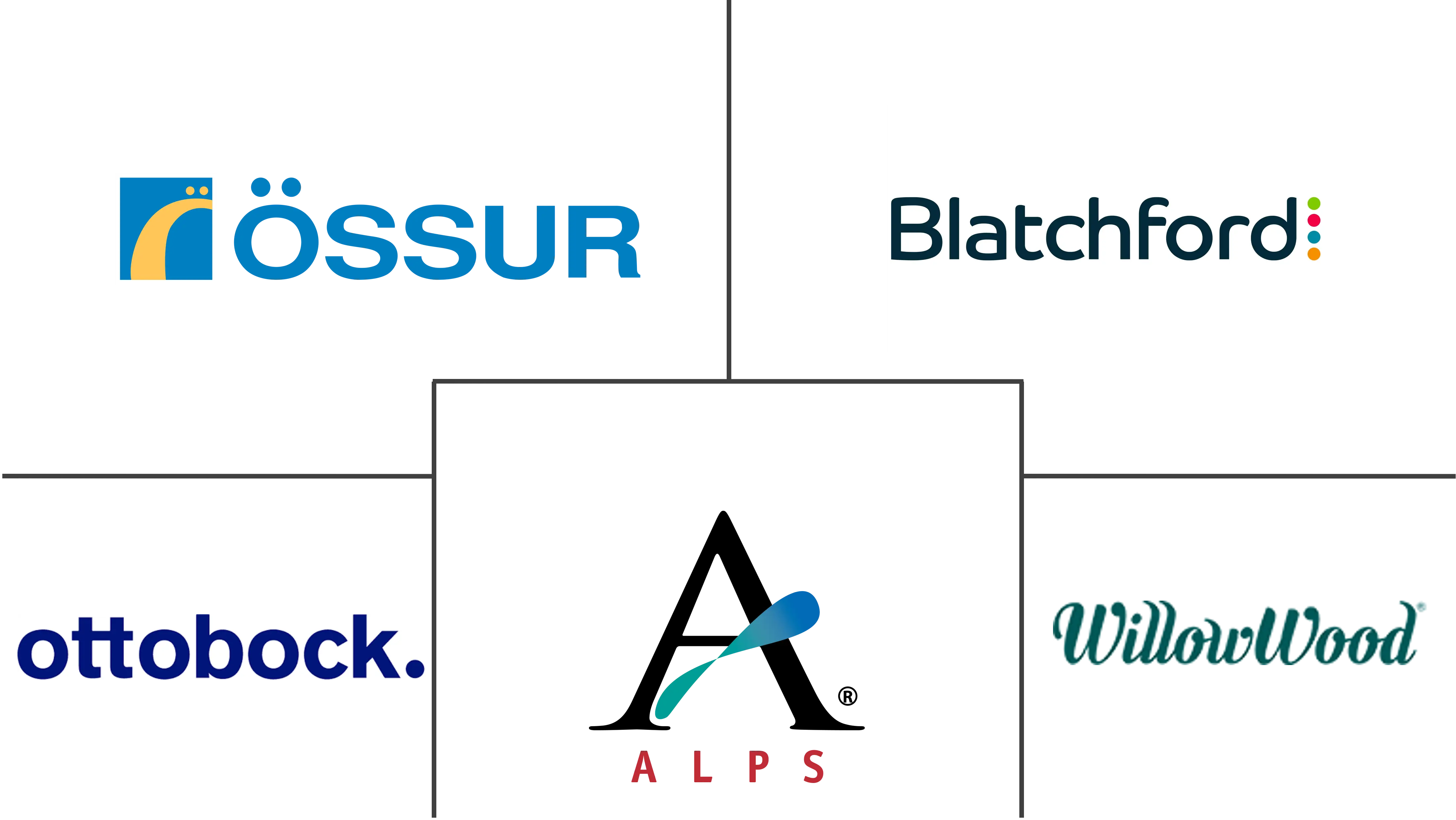 假肢衬垫市场规模和份额