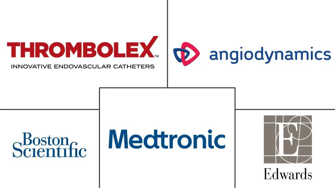 导管定向溶栓市场规模和份额