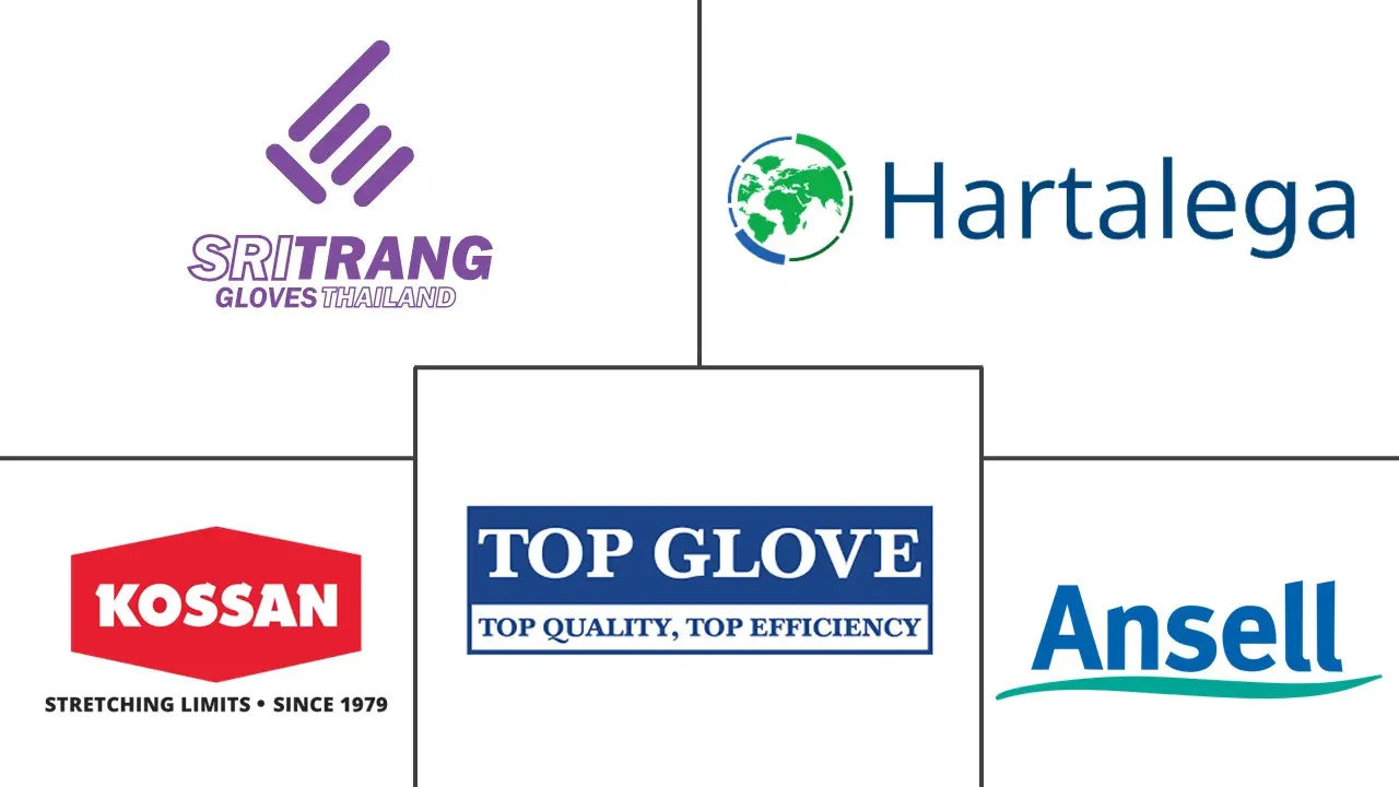 一次性医用手套市场规模及份额