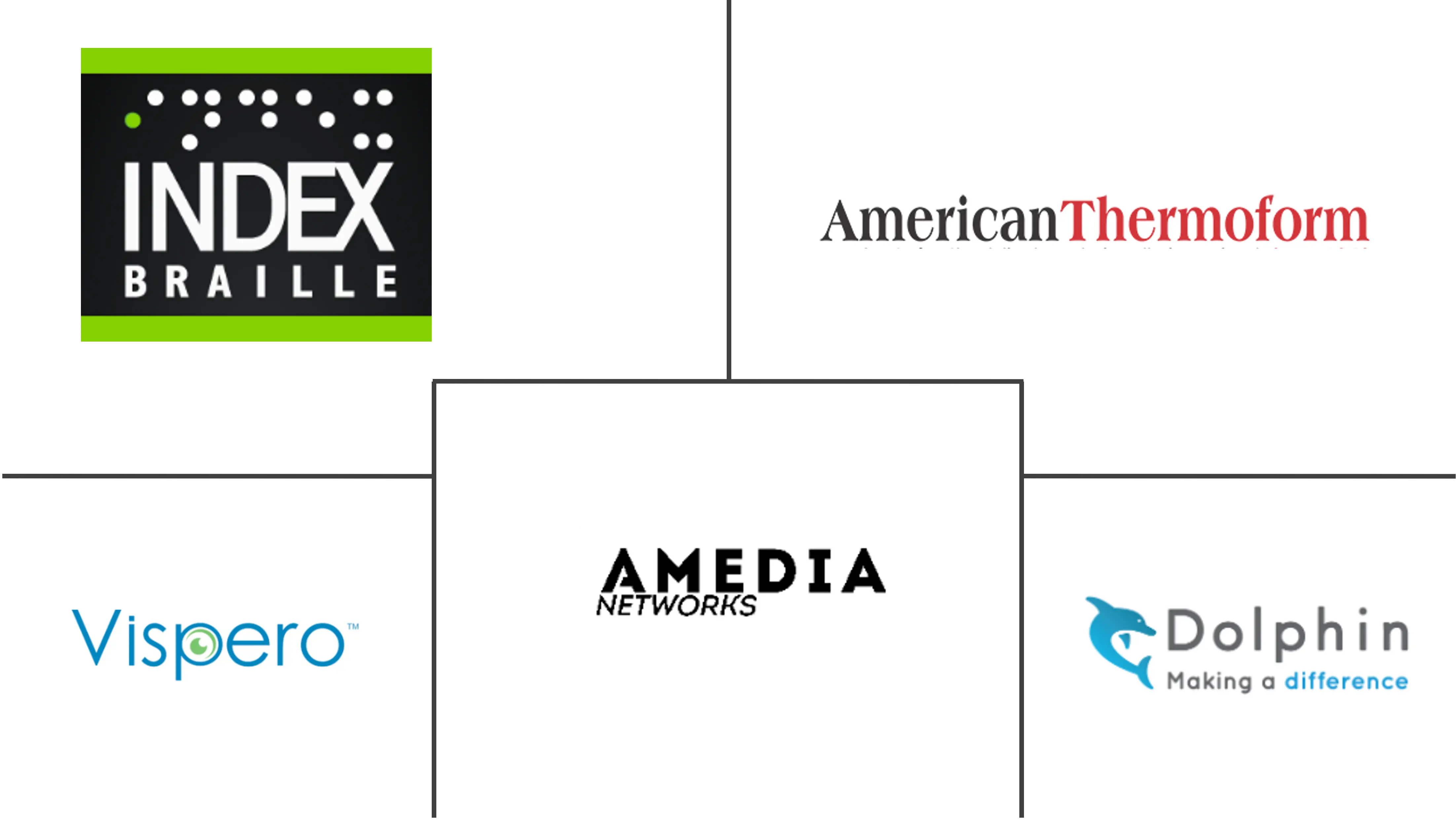 视障辅助技术市场规模和份额