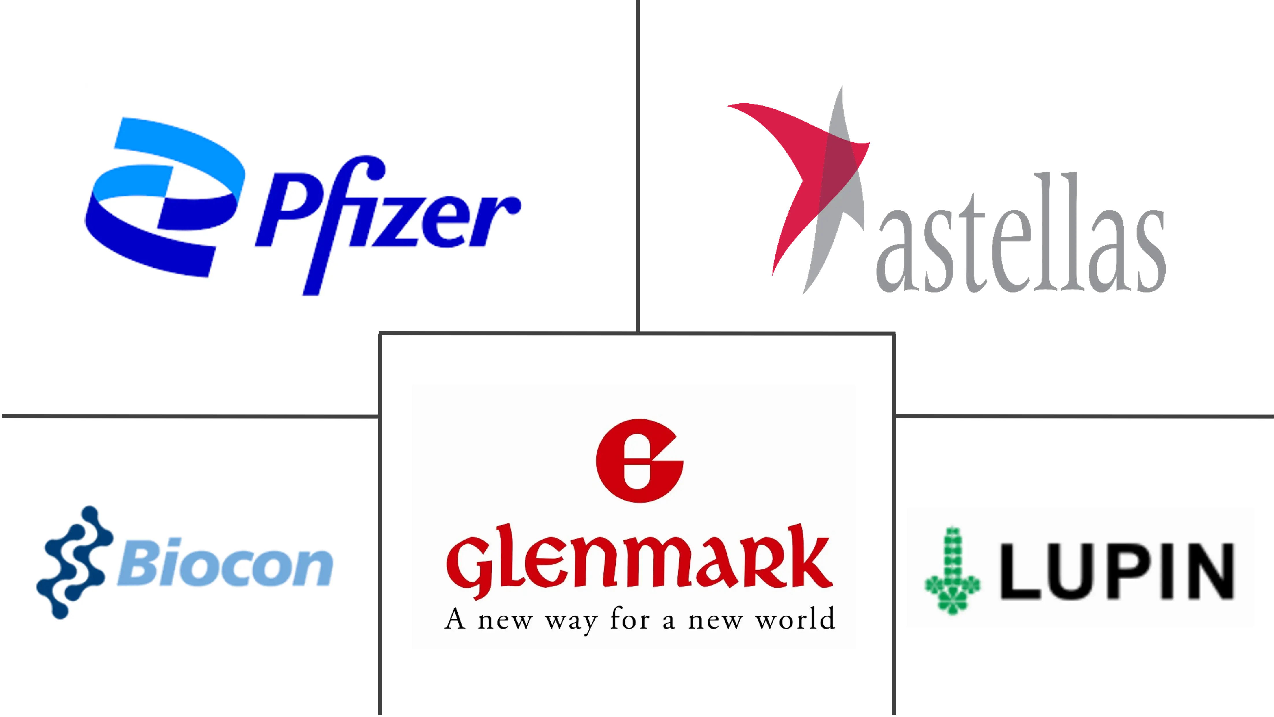 全球他克莫司市场规模及份额