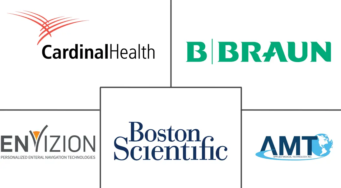 肠内饲管市场规模和份额