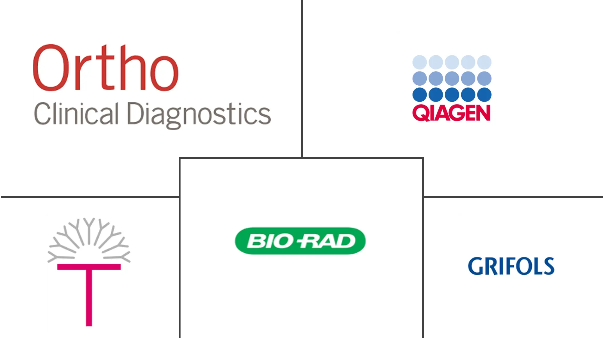 凝胶柱凝集测试系统市场规模