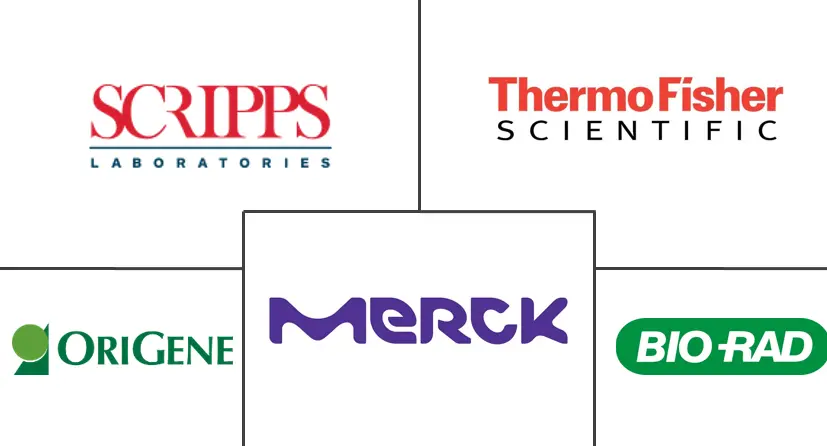 肌红蛋白市场规模