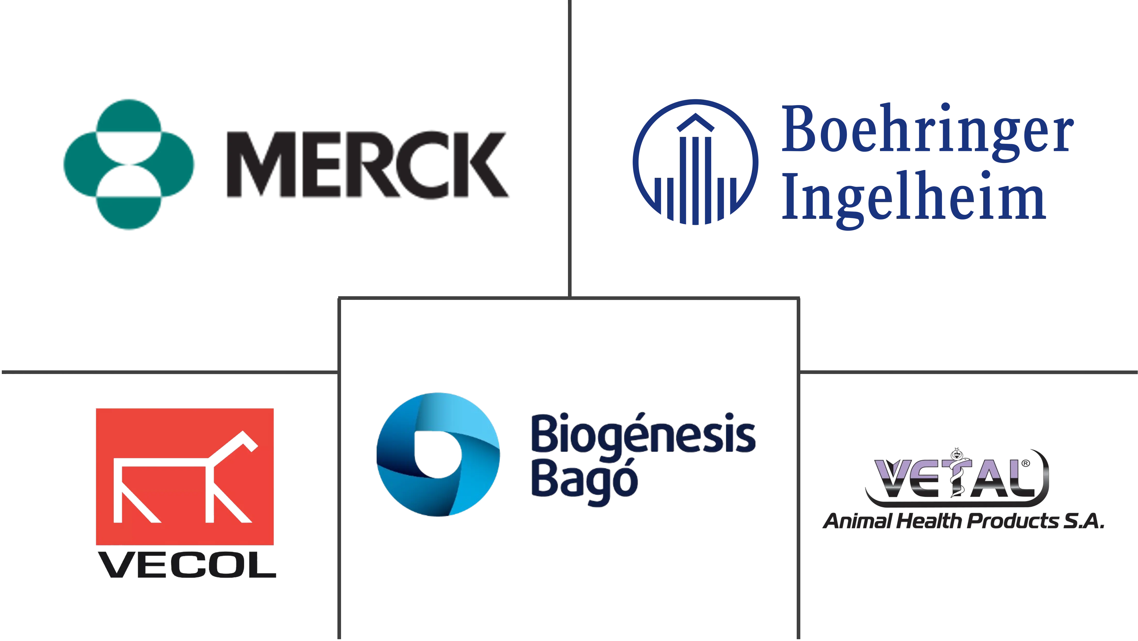 口蹄疫疫苗市场规模和份额