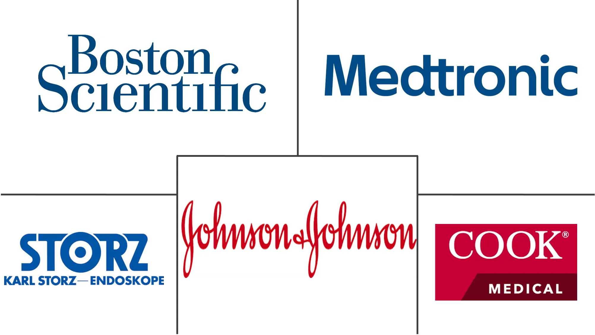 阿根廷内窥镜设备市场规模