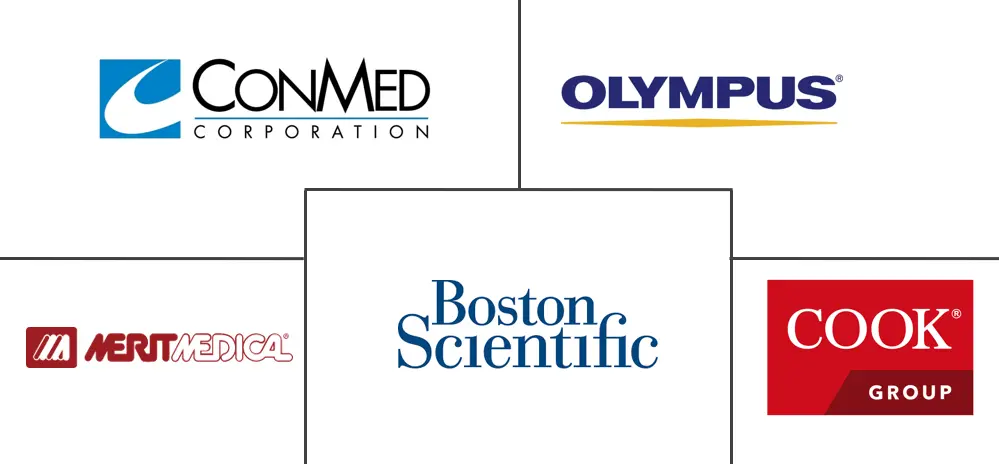 内窥镜狭窄管理市场规模和份额