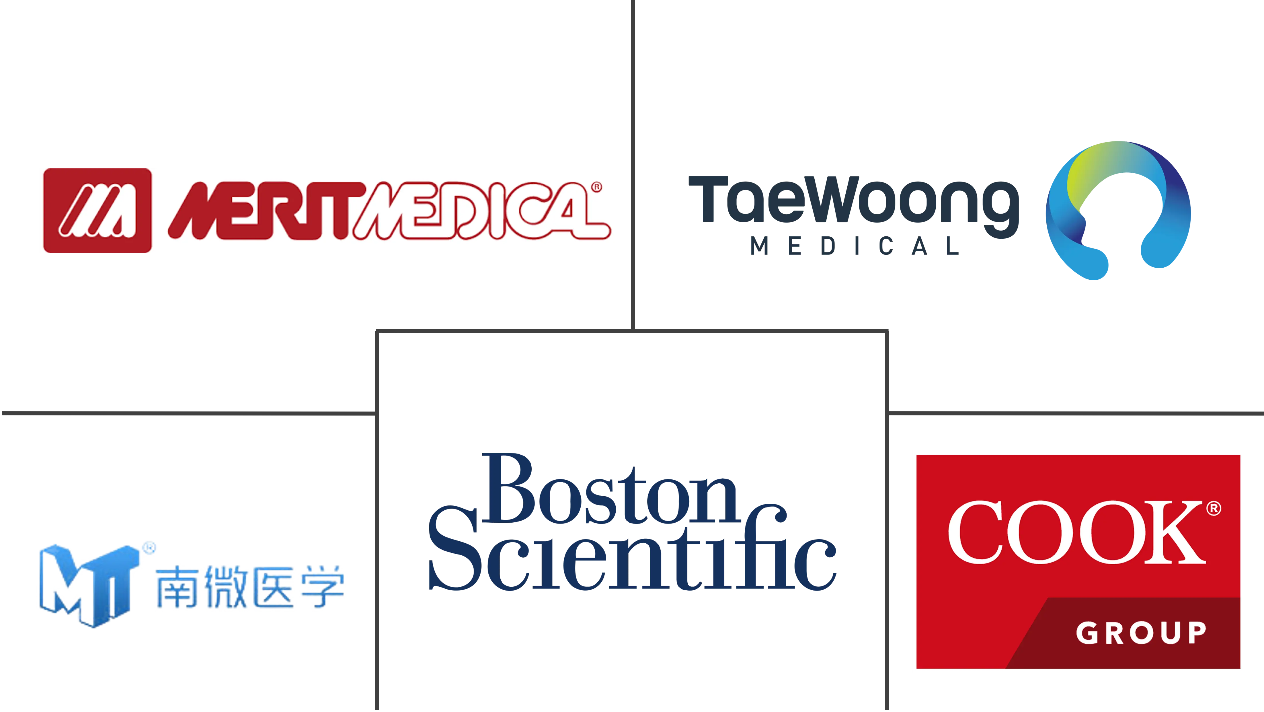 气道支架/肺支架市场规模和份额