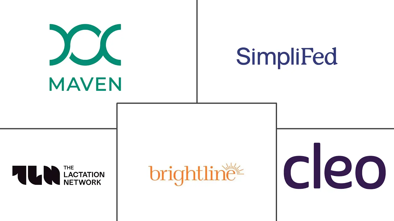 美国远程医疗产后服务市场规模