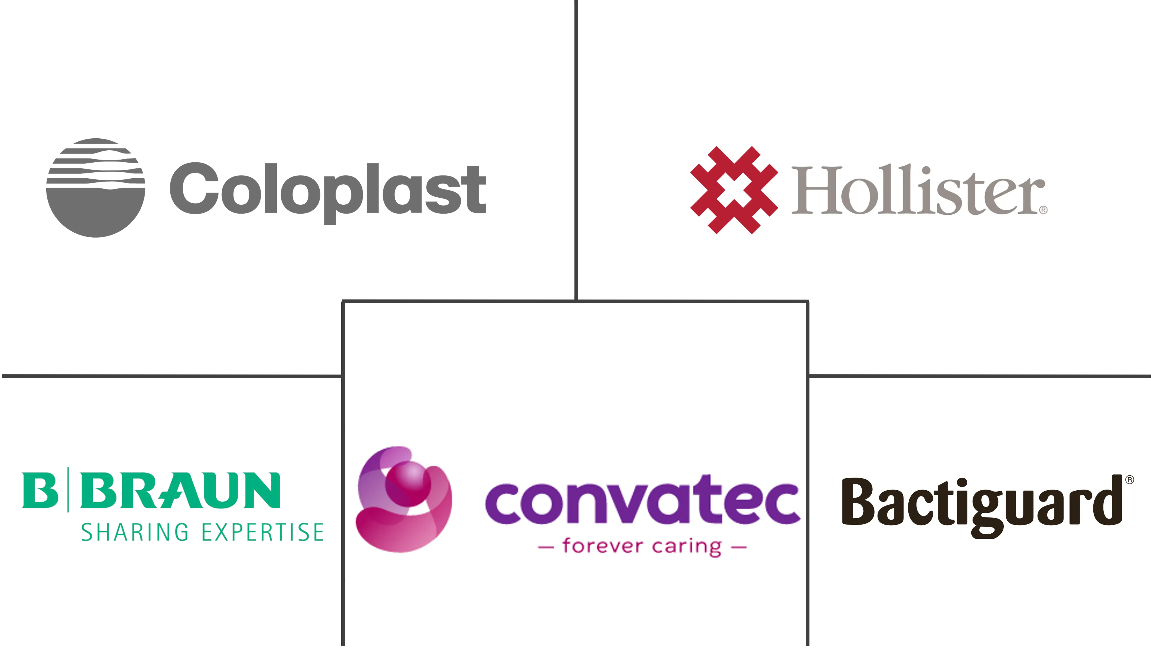 欧洲导尿管市场规模及份额